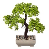 Ghiveci Decorativ cu Bonsai cu Pietre 22cm, Oem