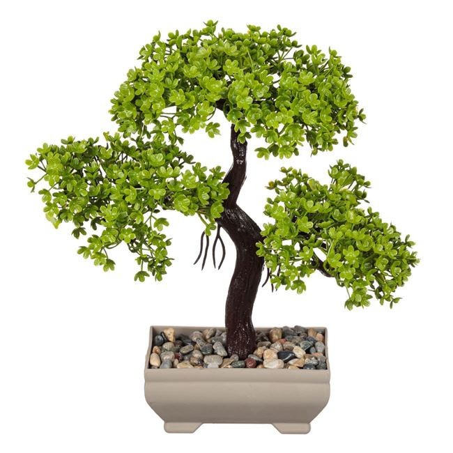 Ghiveci Decorativ cu Bonsai cu Pietre 22cm