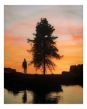 Tablou Canvas, "Singurătate sub cerul &icirc;nserării", Silhouette, Tree, Sunset, Reflection, Sky, Solitude, Tranquility, 26 x 39 cm, CMCLASS