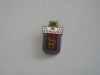 QW9 K 23 - Insigna tematica arta comunism - concursul form artistice de amatori, Romania de la 1950