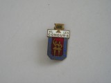 QW9 K 23 - Insigna tematica arta comunism - concursul form artistice de amatori, Romania de la 1950