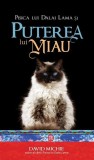 Pisica lui Dalai Lama și puterea lui Miau - Paperback brosat - David Michie - Atman