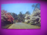 HOPCT 8186 GRADINA IN CONNECTICUT -SUA-AMERICA DE NORD -NECIRCULATA-