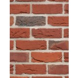 Placaj klinker Terca Artiza Maaseiker Bont, 21x6.5x2.3 cm