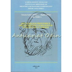 Arta Si Religia Paleoliticului Superior In Europa Centrala Si Rasariteana