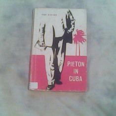 Pieton in Cuba-Pop Simion
