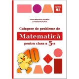 Matematica . Culegere De Probleme. Clasa 5