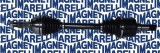 MAGNETI MARELLI 302004190053 Planetara