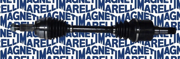 MAGNETI MARELLI 302004190053 Planetara