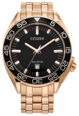Ceas Barbati, Citizen, Carson AW1773-55E - Marime universala