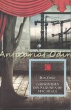 Garsoniera din Padurea de Macarale - Dan Chisu - Roman - Allfa - Bucuresti - 2013 - Strada Fictiunii