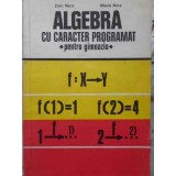 ALGEBRA CU CARACTER PROGRAMAT PENTRU GIMNAZIU-DAN NICA, MARIA NICA-304223