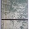 Romanul realist in secolul al XIX-lea &ndash; Dan Grigorescu, Sorin Alexandrescu