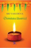 Divinitatea launtrica - Sri Vasudeva