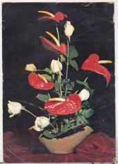 bnk cp Romania - felicitare - flori - circulata - marca fixa - cod 0033/82