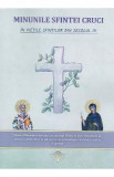 Minunile Sfintei Cruci in viețile sfintilor din sec.3, Nicodim Mandita