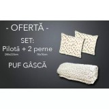 Cumpara ieftin SET Pilota de iarna pentru pat de doua persoane + 2 perne patrate din puf de gasca cod PG12