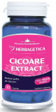 CICOARE EXTRACT 30CPS, Herbagetica