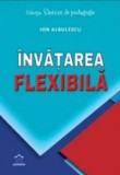 Invatarea flexibila - Ion Albulescu - Didactica Publishing House