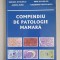 Compendiu de patologie mamara- Simona Stolnicu, Janos Jung