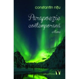 Parapoezie contemporana - Constantin Nitu