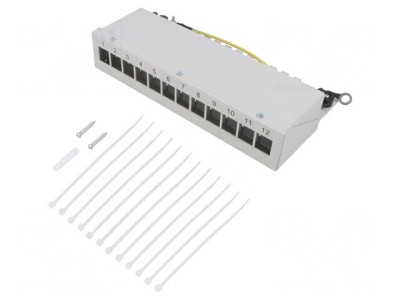 Soclu RJ45 Keystone Gri Clichet Mamă foto