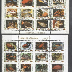 Umm al Qiwain 1973 Fishes, 2 perf. mini sheetlet, used T.180