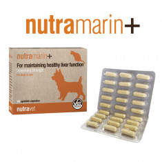 Nutravet Nutramarin+, 60 capsule