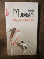 Dupa cutremur (Top 10) HARUKI MURAKAMI foto