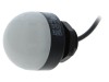 Lumină de control IP65 &Oslash;32mm 24VDC