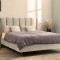 Pat Belmonde 160x200 cm Tapitat Catifea Bej Somiera Inclusa (cod ML 2304-01)