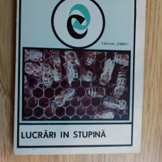 LUCRARI IN STUPINA - CORA ROSENTHAL EDITURA CERES . STARE FOARTE BUNA