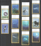 PENRHYN 2016 FAUNA MARINA PASARI PESTI