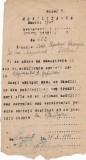 AMS @ - MOBILIZARE, FĂLTICENI, REGIMENTUL 3 GRANICERI, ANUL 1925, stampila regimentului