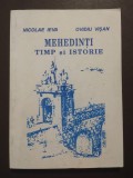 Nicolae Ieva; Ovidiu Vișan - Mehedinți: timp și istorie