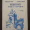Nicolae Ieva; Ovidiu Vișan - Mehedinți: timp și istorie