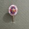 insigna veche STEAUA BUCURESTI