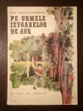 Petre Hladchi-Bucovineanu - Pe urmele izvoarelor de aur (il. de Dumitru Ristea)