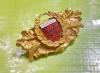 D598-Insigna DONAUGAU Germania 1965 bronz aurit emailat coroana de lauri pusti.