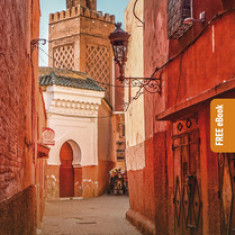 Pocket Rough Guide Marrakesh (Travel Guide with Free Ebook)