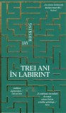 Trei ani in labirint - Jay Hosking - Editura RAO