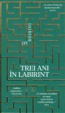 Trei ani in labirint