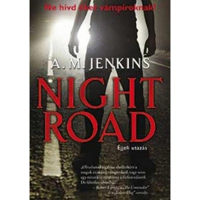 Night road - &amp;Eacute;jjeli utaz&amp;aacute;s - A.M. Jenkins foto