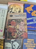 Noaptea de s&acirc;nziene 1 vintage
