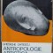 Antropologie artistica - Gheorghe Ghitescu// vol. 2, 1981
