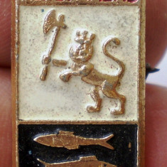 I.325 INSIGNA RUSIA URSS PERESLAVL h22mm