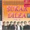 Various - Sukar Dilea Vol. 2, CD