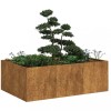 VidaXL Jardinieră Rusty 120x80x40 cm Oțel pentru intemperii 860751