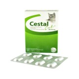 ANTIPARAZITAR INTERN PENTRU PISICI CESTAL CHEW (8TB CUTIE)