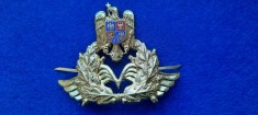 INSIGNA EMBLEMA CUC COIFURA CHIPIU